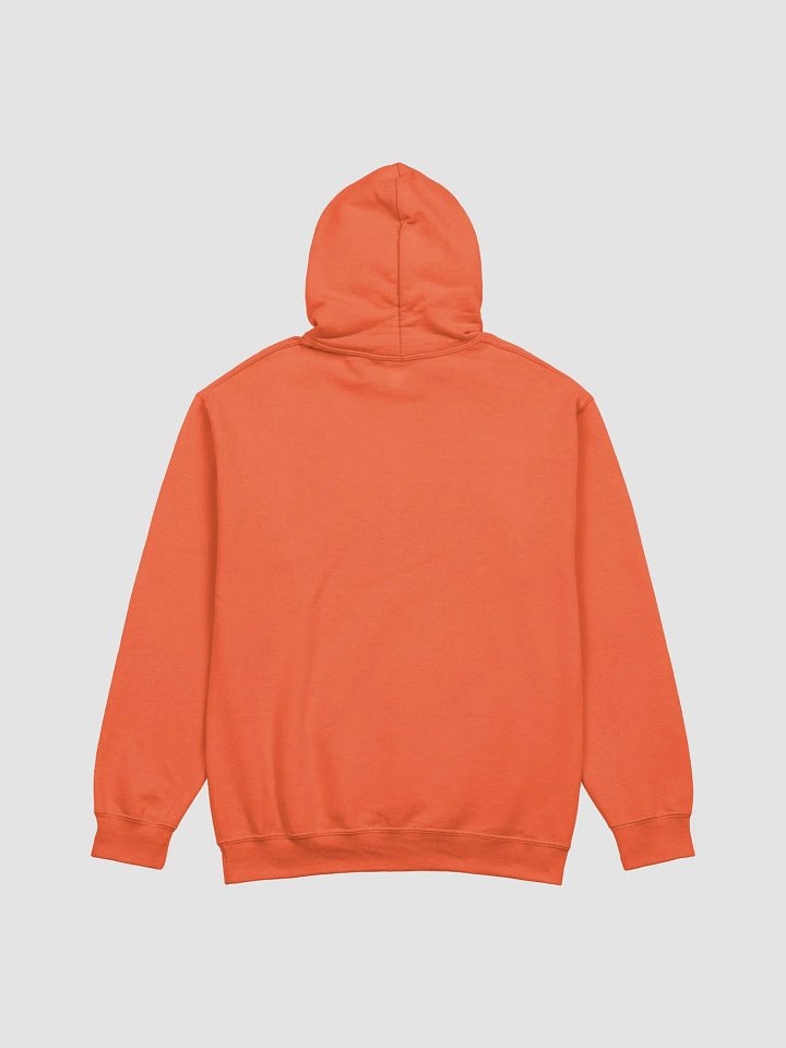 Oxy Hoodie! product image (2)