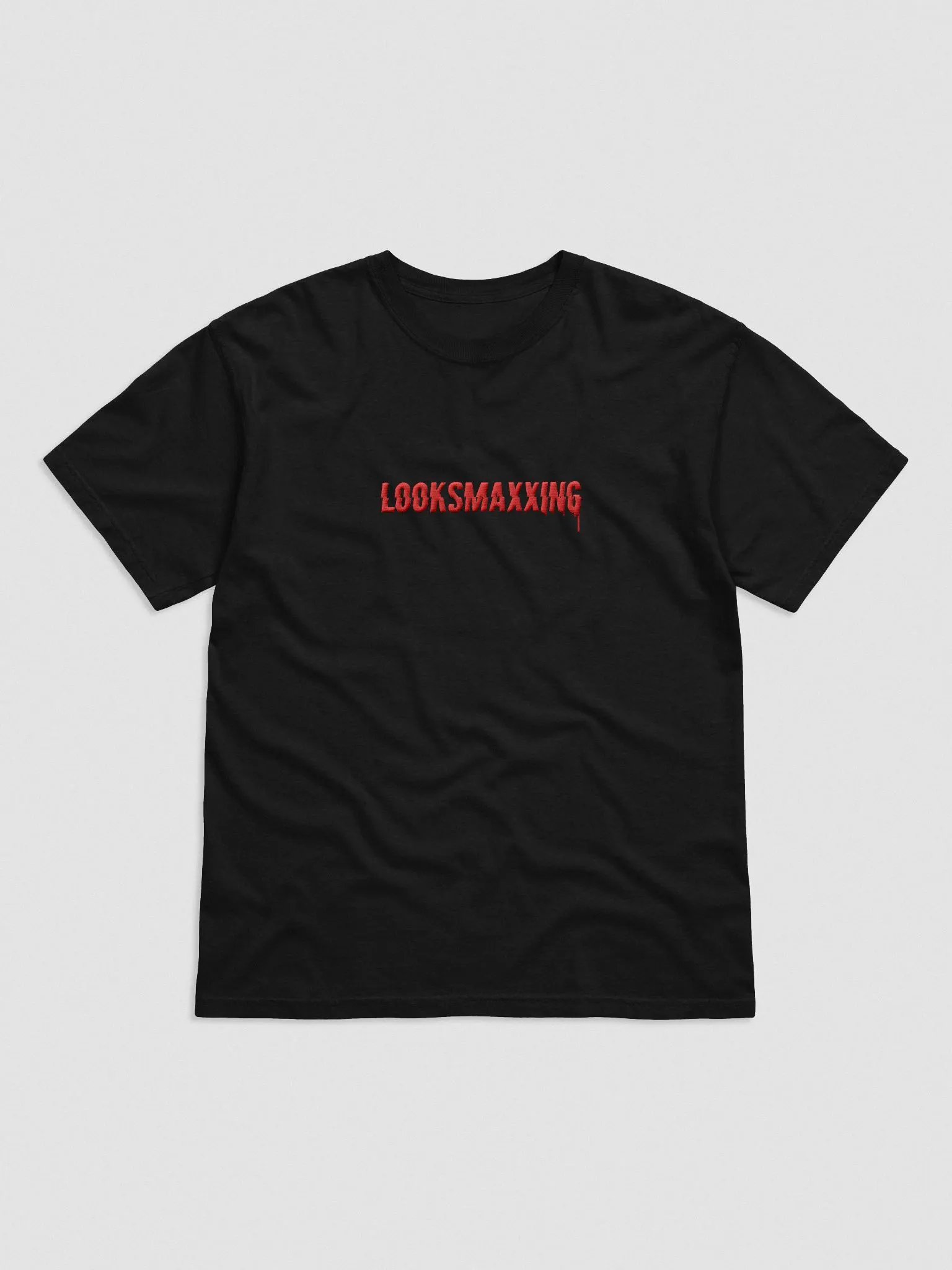 LOOKSMAXXING Embroidered Tee product image (1)