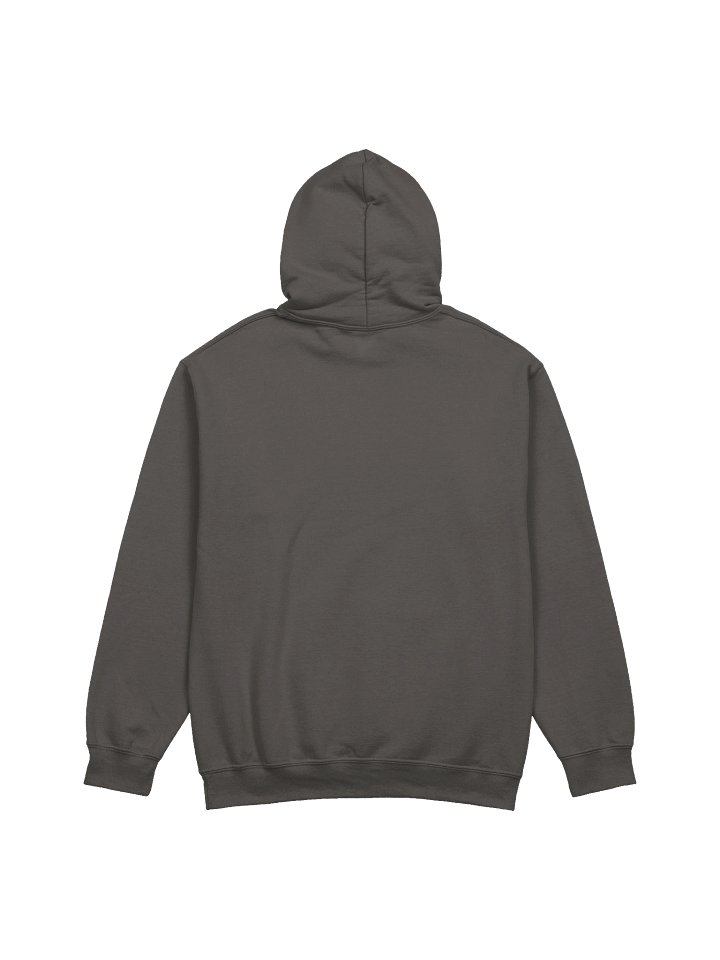 Bumblebee Graphic Hoodie product image (5)