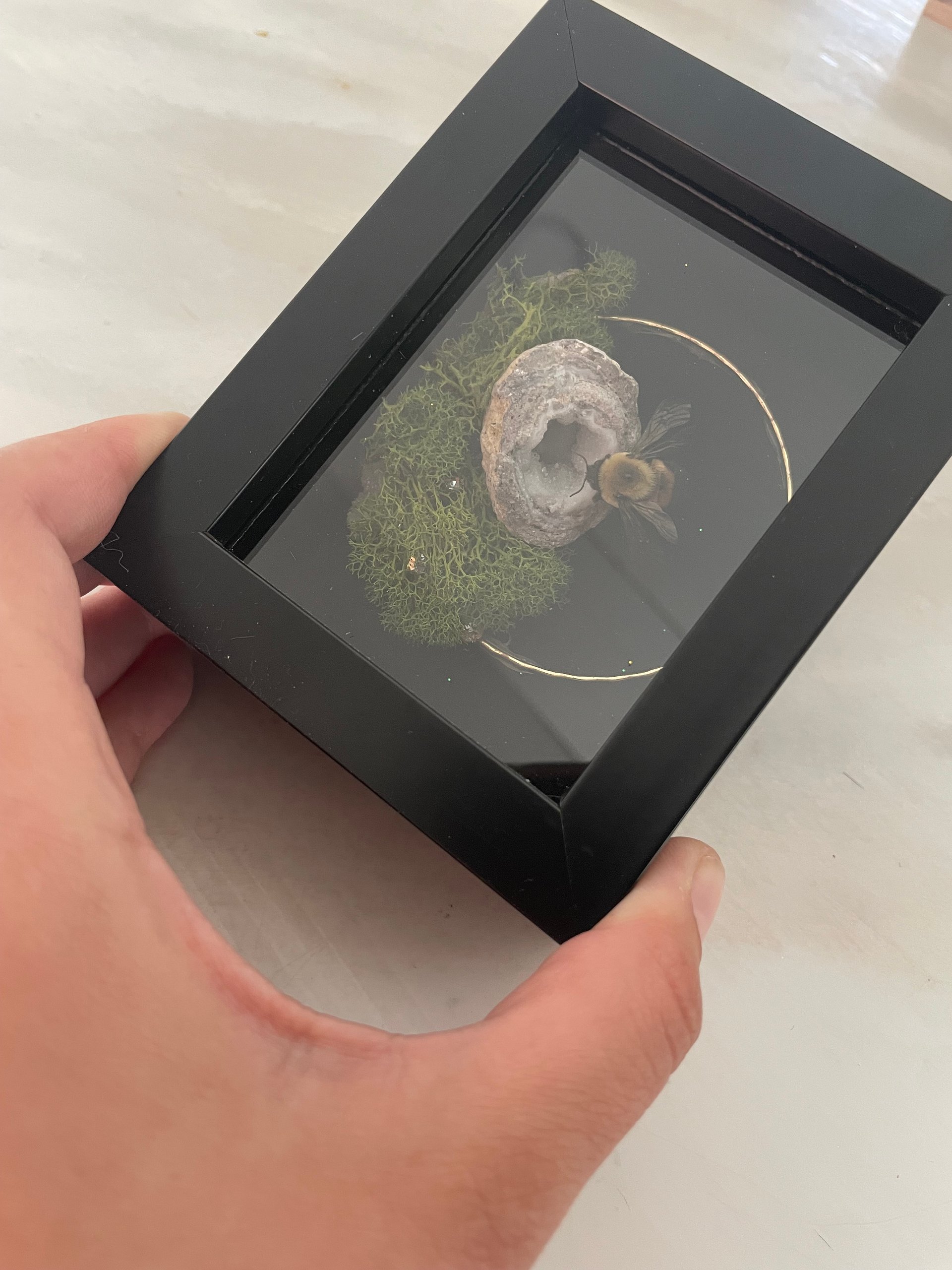 Crystallized Bumblebee Shadowbox product image (2)