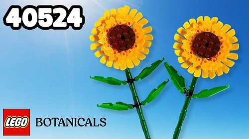 LEGO Botanicals 40524 Sunflowers (Unboxing & Review)

Today on DailyWeeklyBuilds, Aspen is back with another Flower Friday! 🌻...
