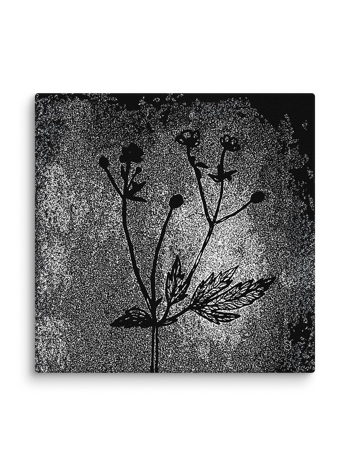 Visionary Canvas Collection - Wild Flowers Dark Stylish product image (2)