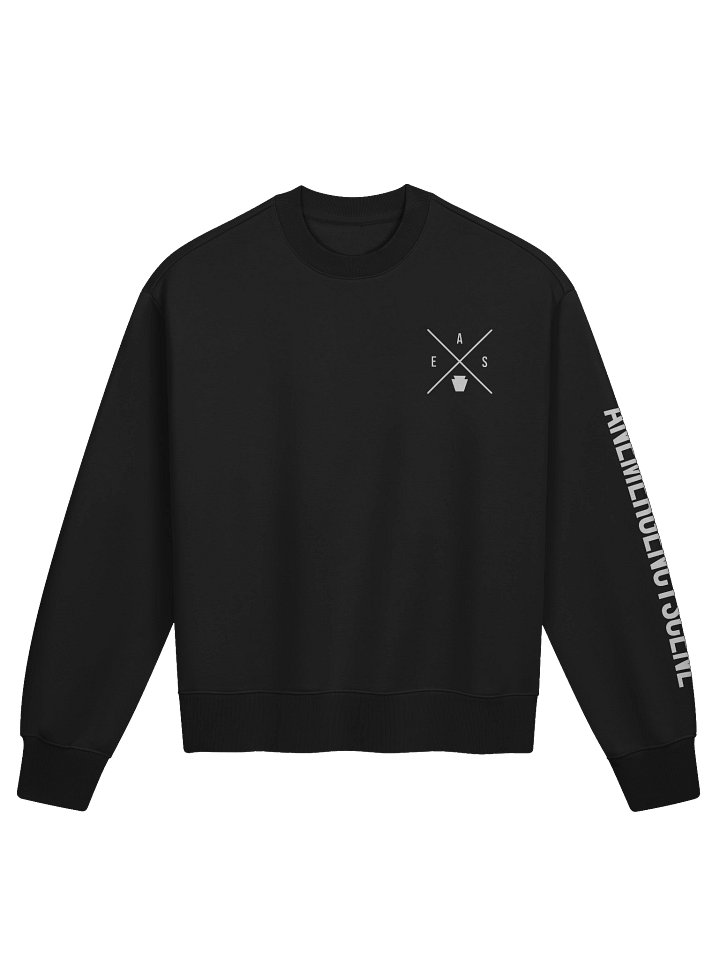 AES X Crewneck product image (1)