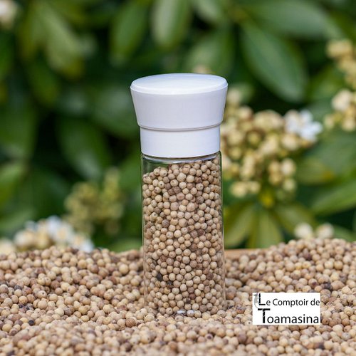 Poivre blanc ou poivre noir : quelle différence ? 🌶️

Même plante (Piper nigrum), deux transformations radicalement différent...