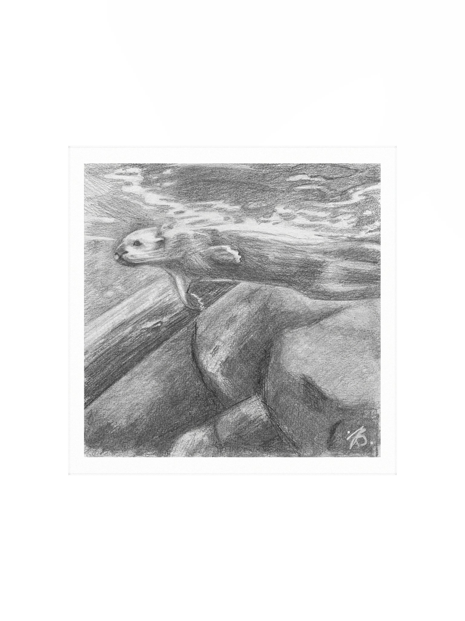 Otter Swimming — Premium Matte Poster product image (1)