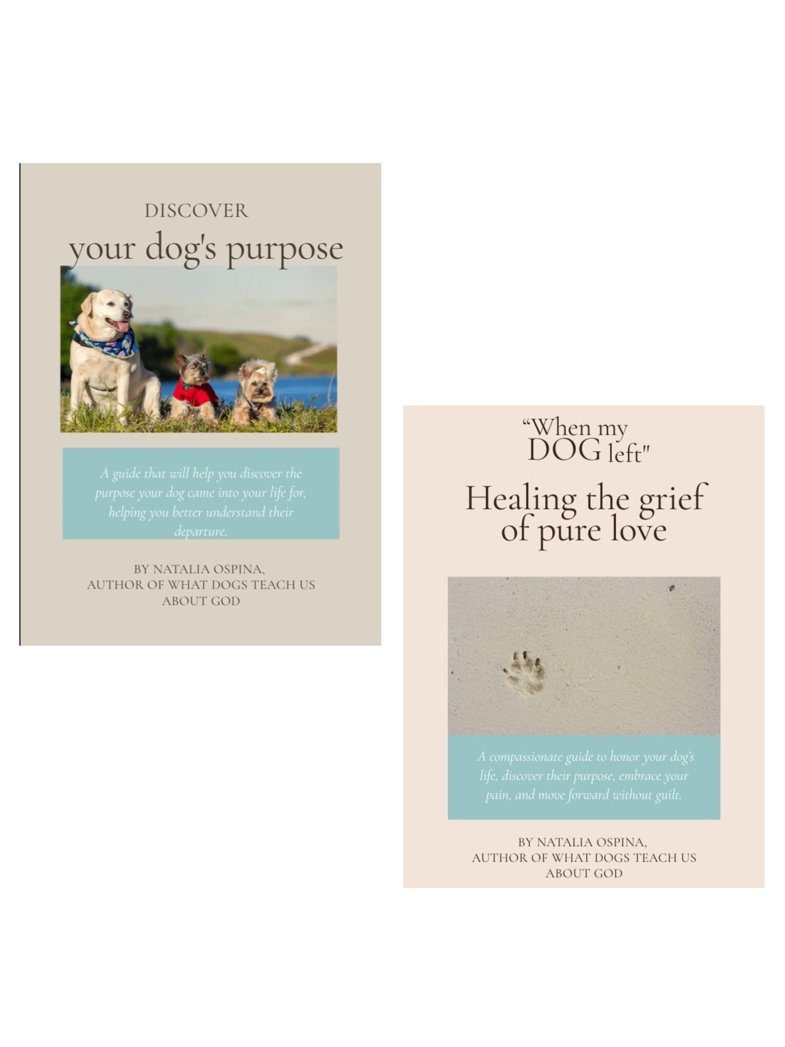 Complete Journey Pack: From Grief to Healing and Purpose product image (1)