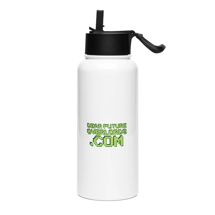 Dear Future Overlords Stainless Steel Water Bottle product image (2)