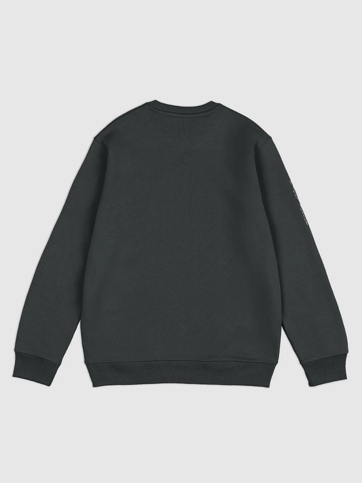 Silver Storyteller Unisex Sweatshirt product image (4)