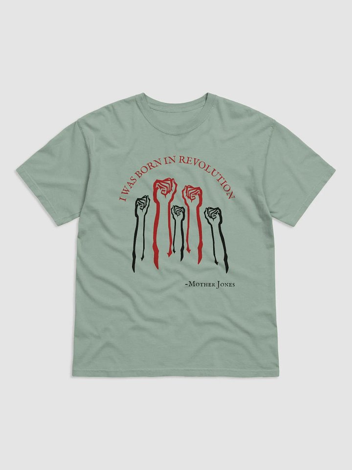 Born in Revolution Mother Jones Adult T-shirt product image (1)