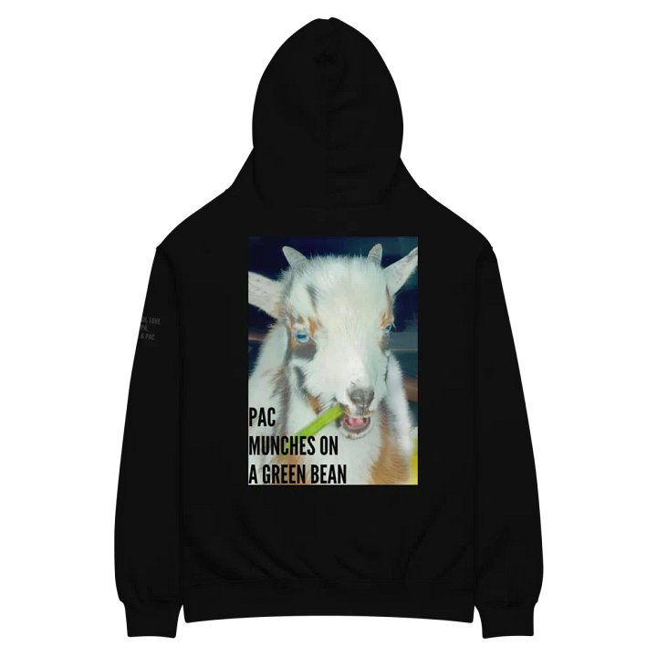 Oversized Hoodie ft. Pac product image (1)