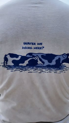 Water we doing here - Long Sleeve
Out now on MooMode.com
#moomode #moo #cow #waterwedoinghere