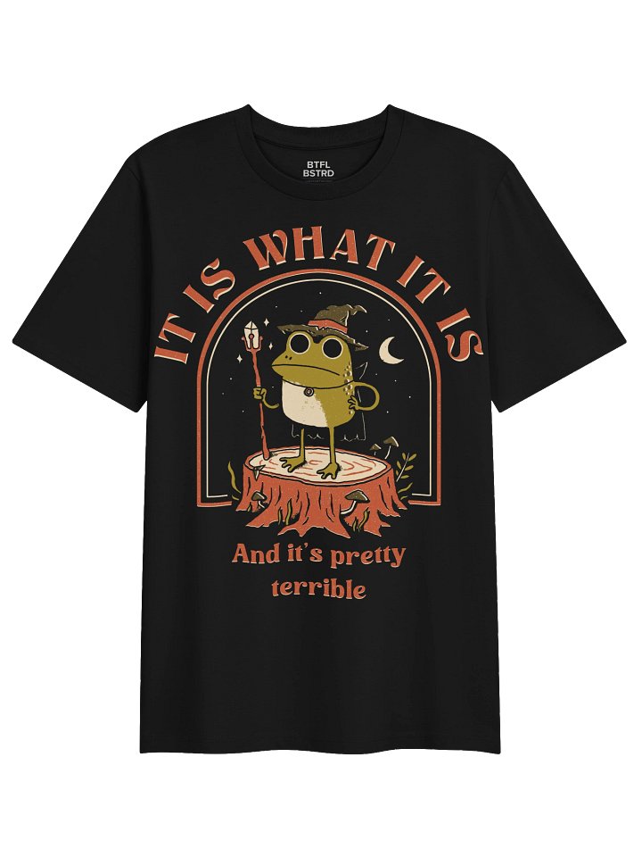 It Is What It Is - TShirt product image (1)