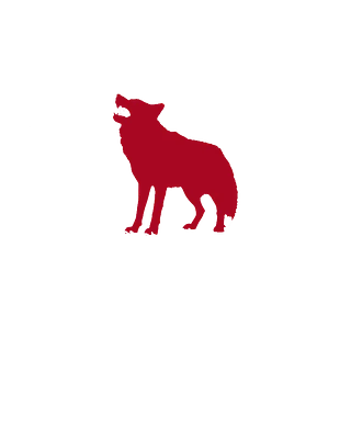 Stoik