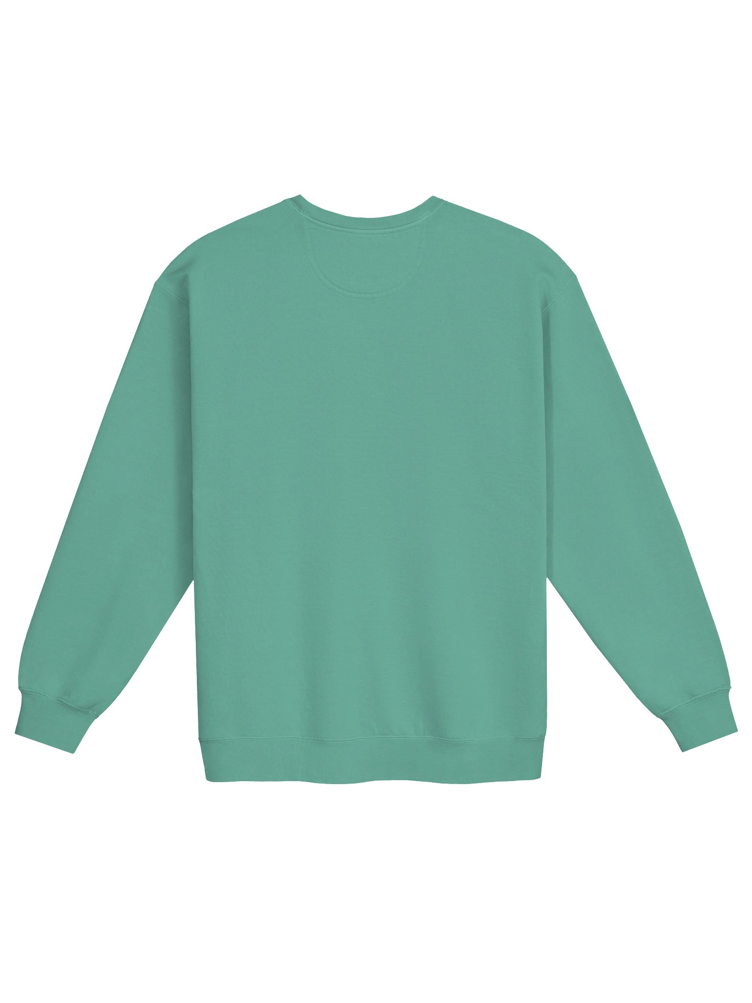 Icon Crewneck - Seafoam product image (2)