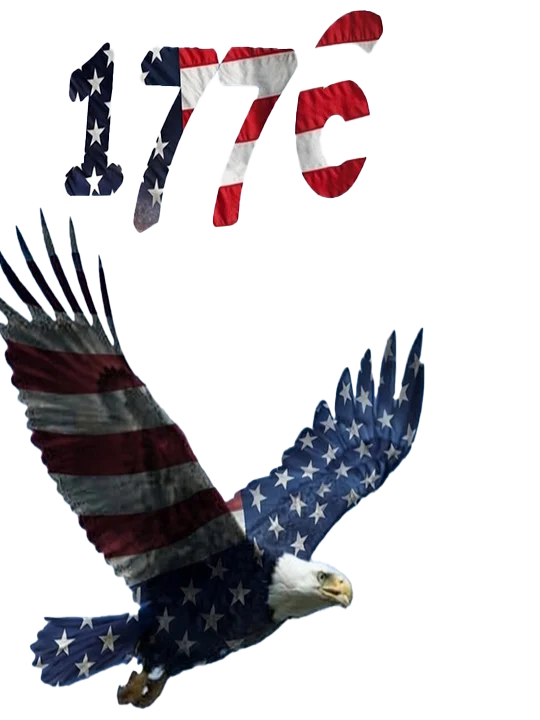 America 250 Bald Eagle Digital File product image (1)