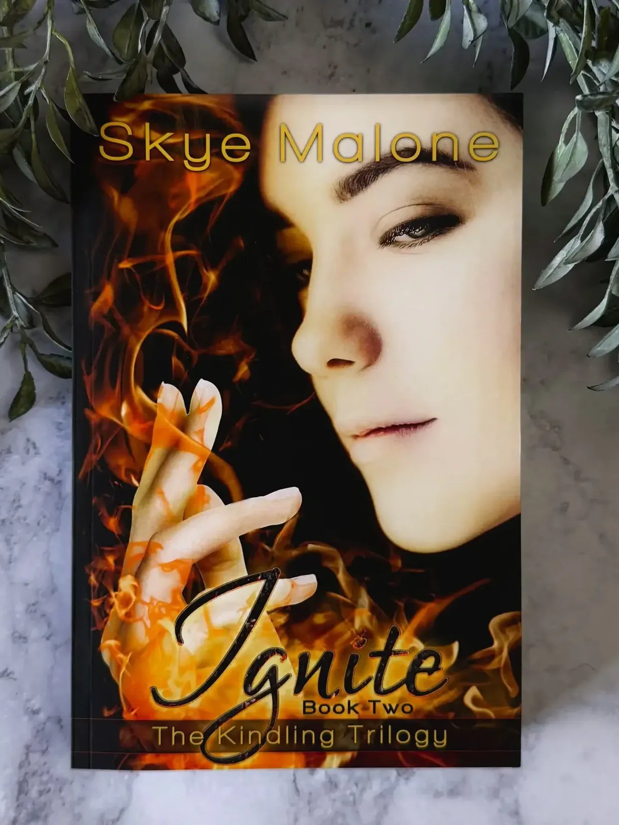 Ignite (Kindling Trilogy #2) product image (2)