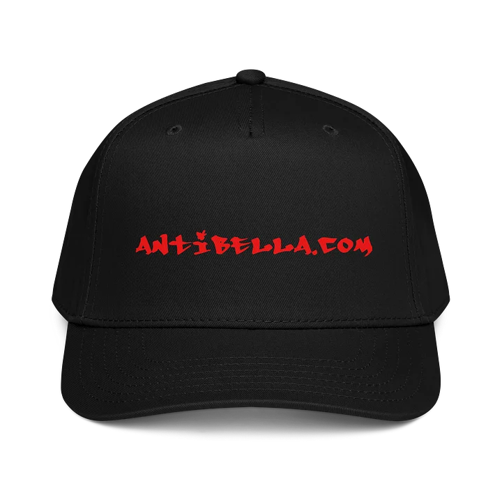 Antibella.com graffiti hat product image (1)