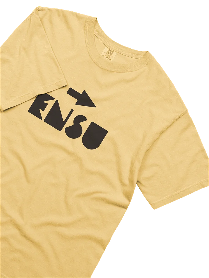 ENSU product image (2)