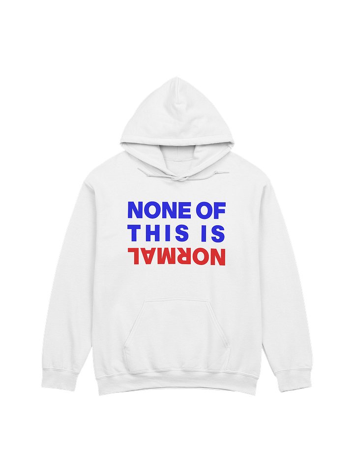 NONE OF THIS IS NORMAL - HOODIE product image (1)