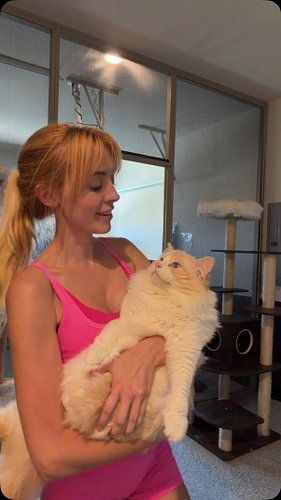 Sire cat room tour