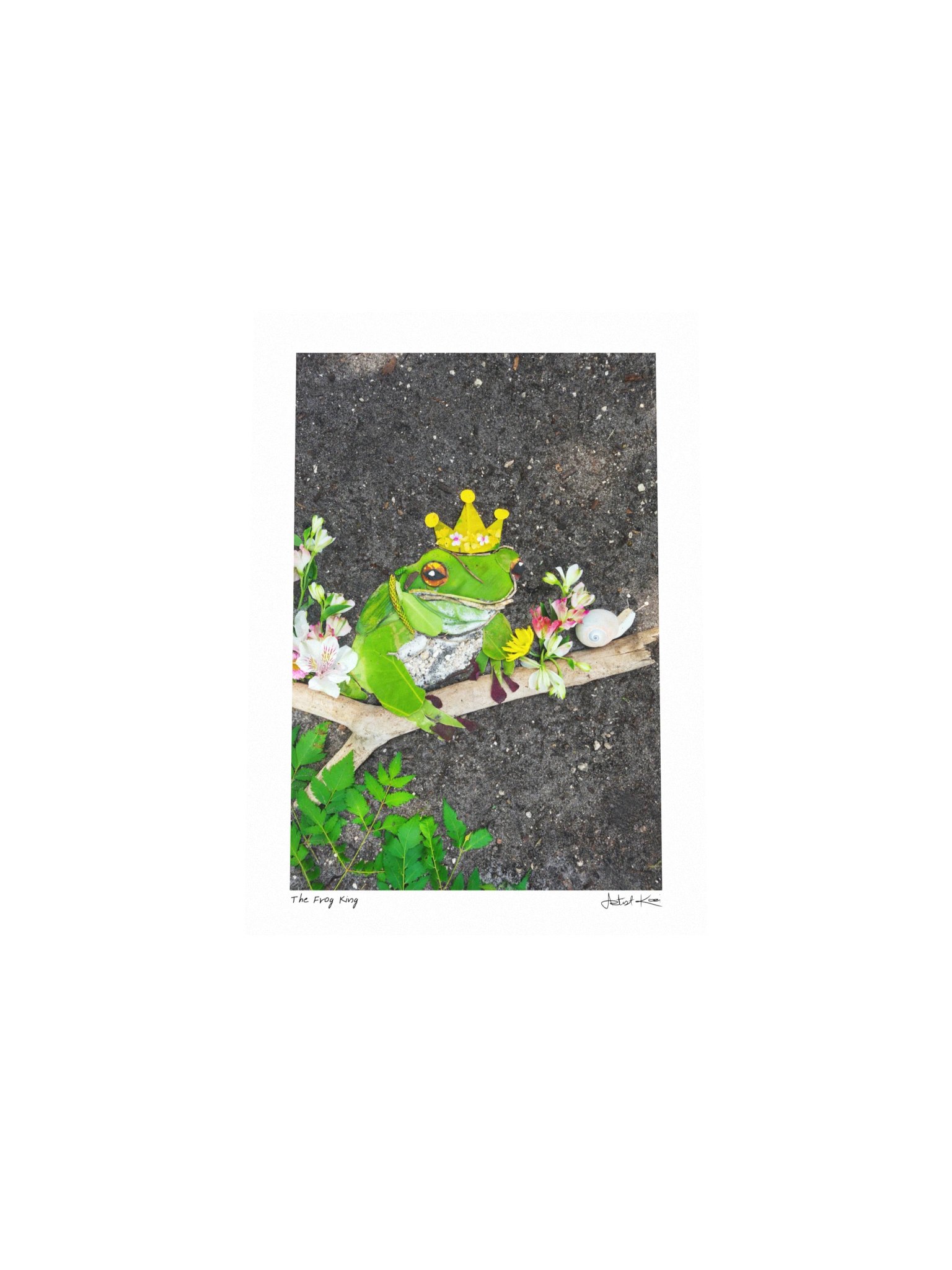THE FROG KING | Mini Print product image (4)