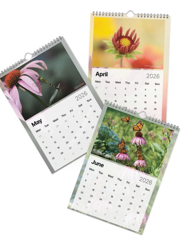 2026 Wall Calendar product image (3)
