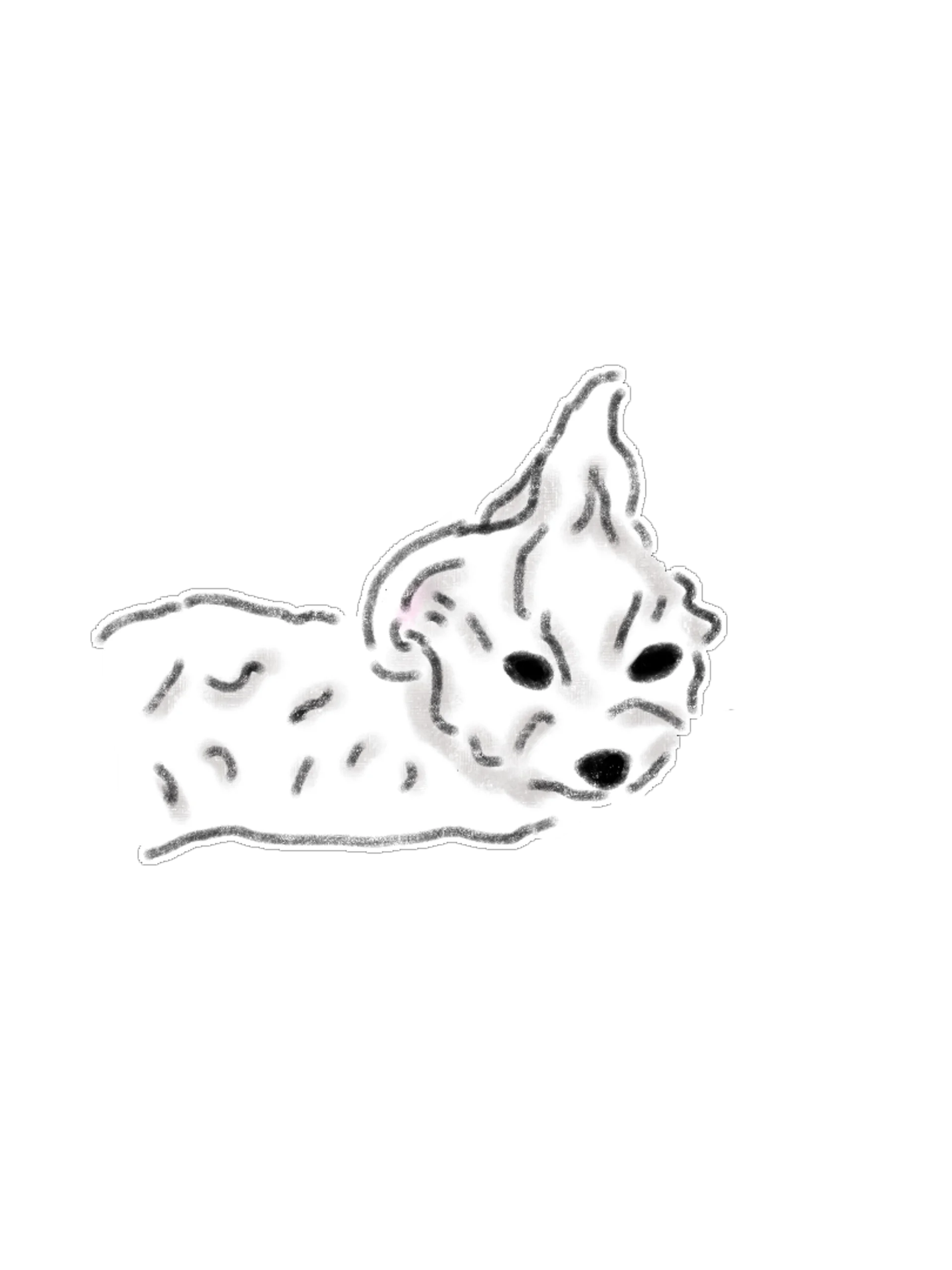 Minimal & Cute Peeking Dog Clipart PNG Bundle (15 Items) product image (12)