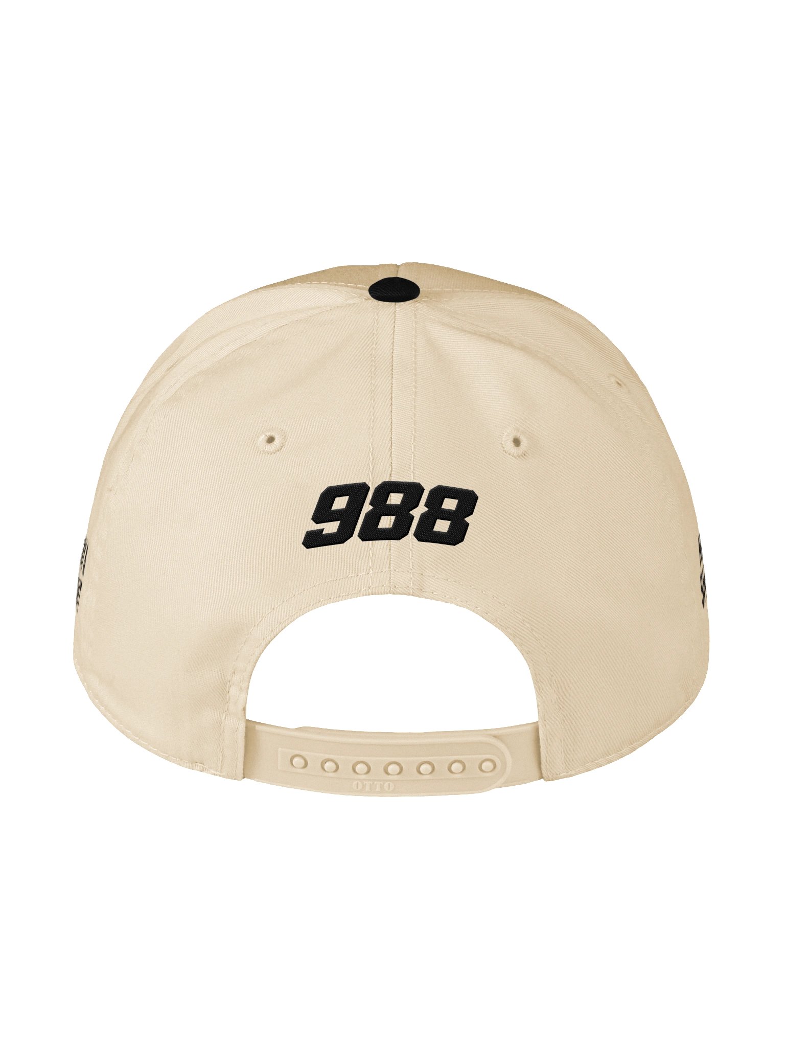 The Next Shift Project — "Over the Boards" Two-Tone Cap product image (2)