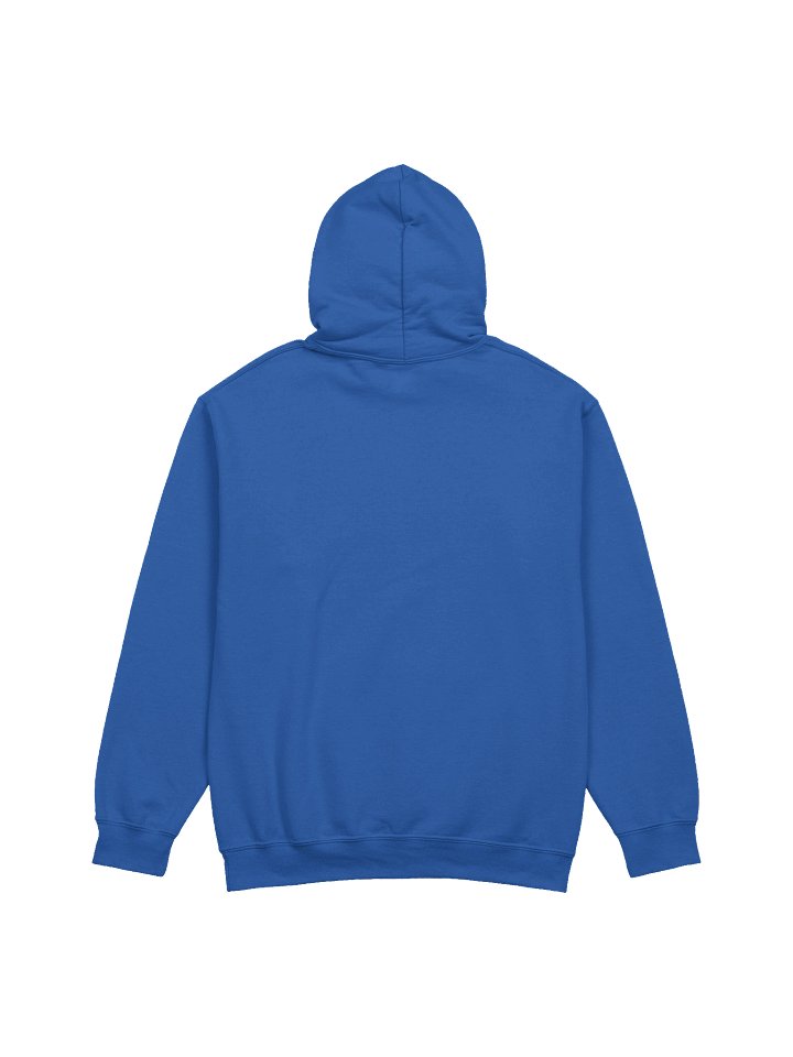 Swarbrick,The Next Generation Hoodie product image (2)