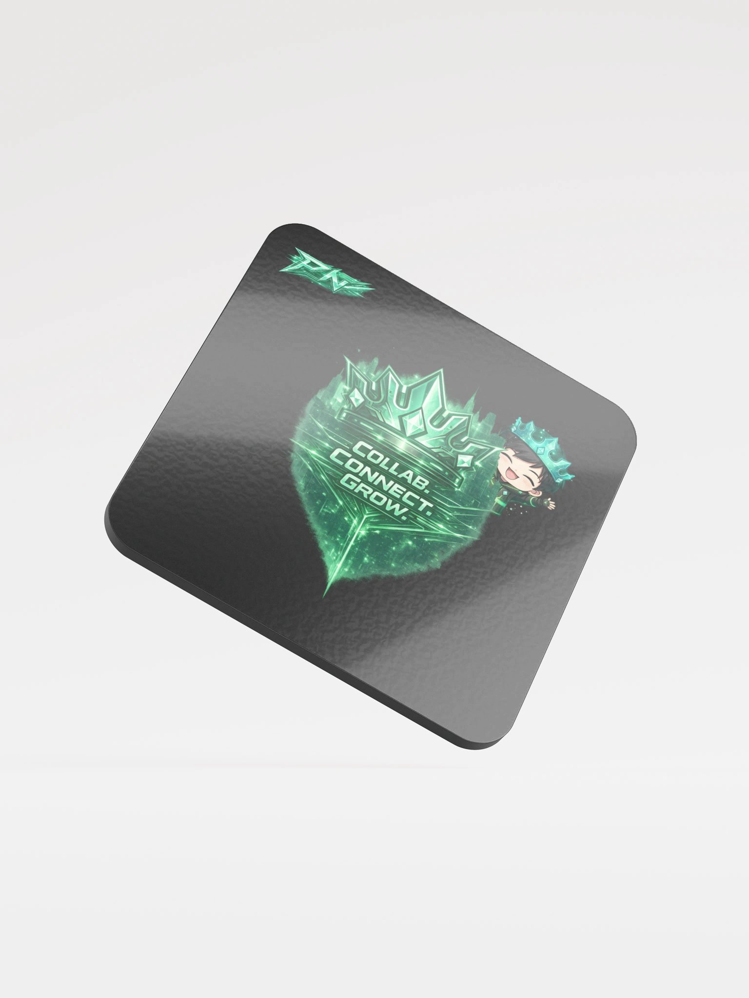 NetworkCoaster product image (1)