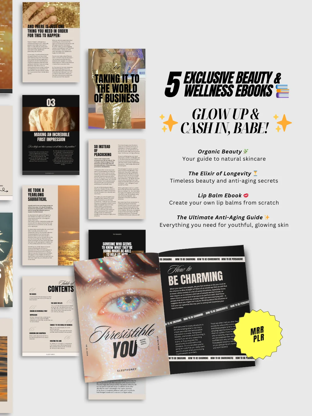 Glow up Guides | MRR PLR Bundle product image (3)