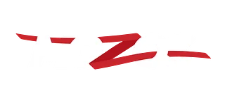 Mozos