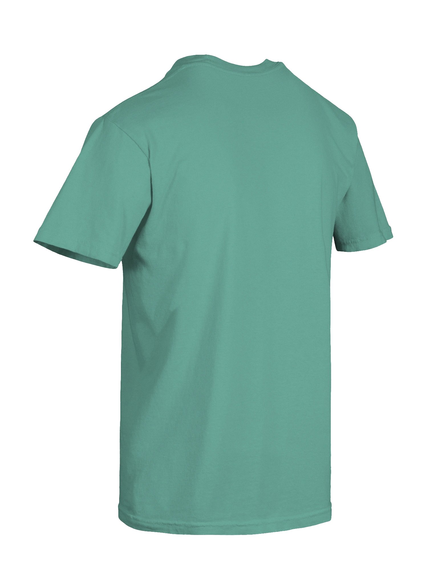 Logo Tee v1 product image (4)