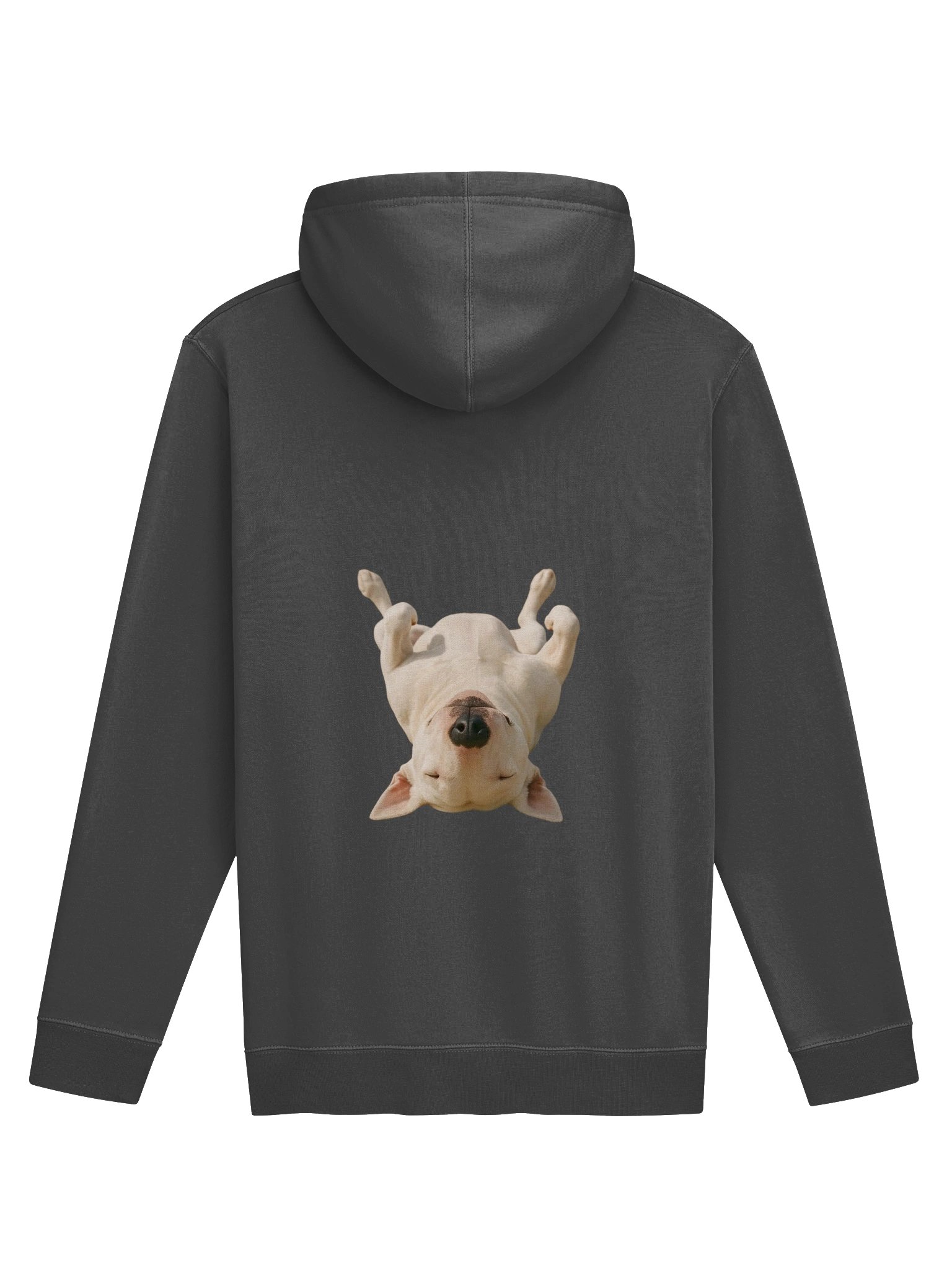 Bull Terrier TOP MODEL Absolute Ease! product image (2)