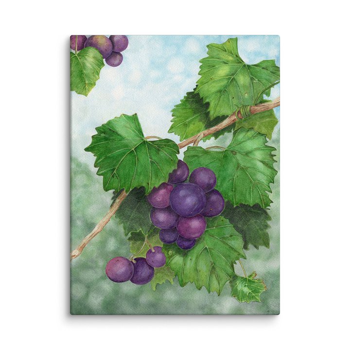 Muscadine Memories product image (2)