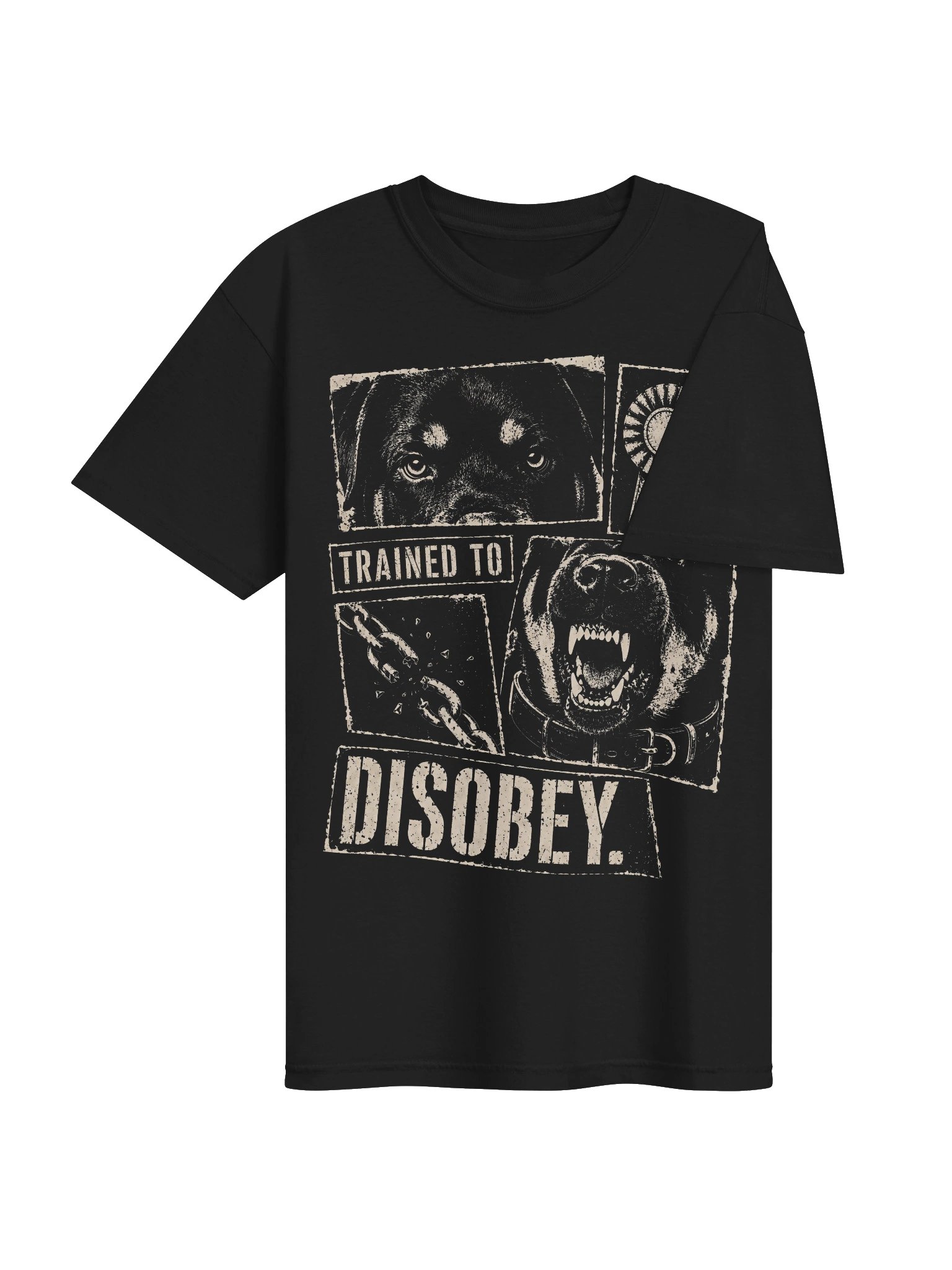 Trained to Disobey Heavyweight Vintage Graphic Tee product image (5)
