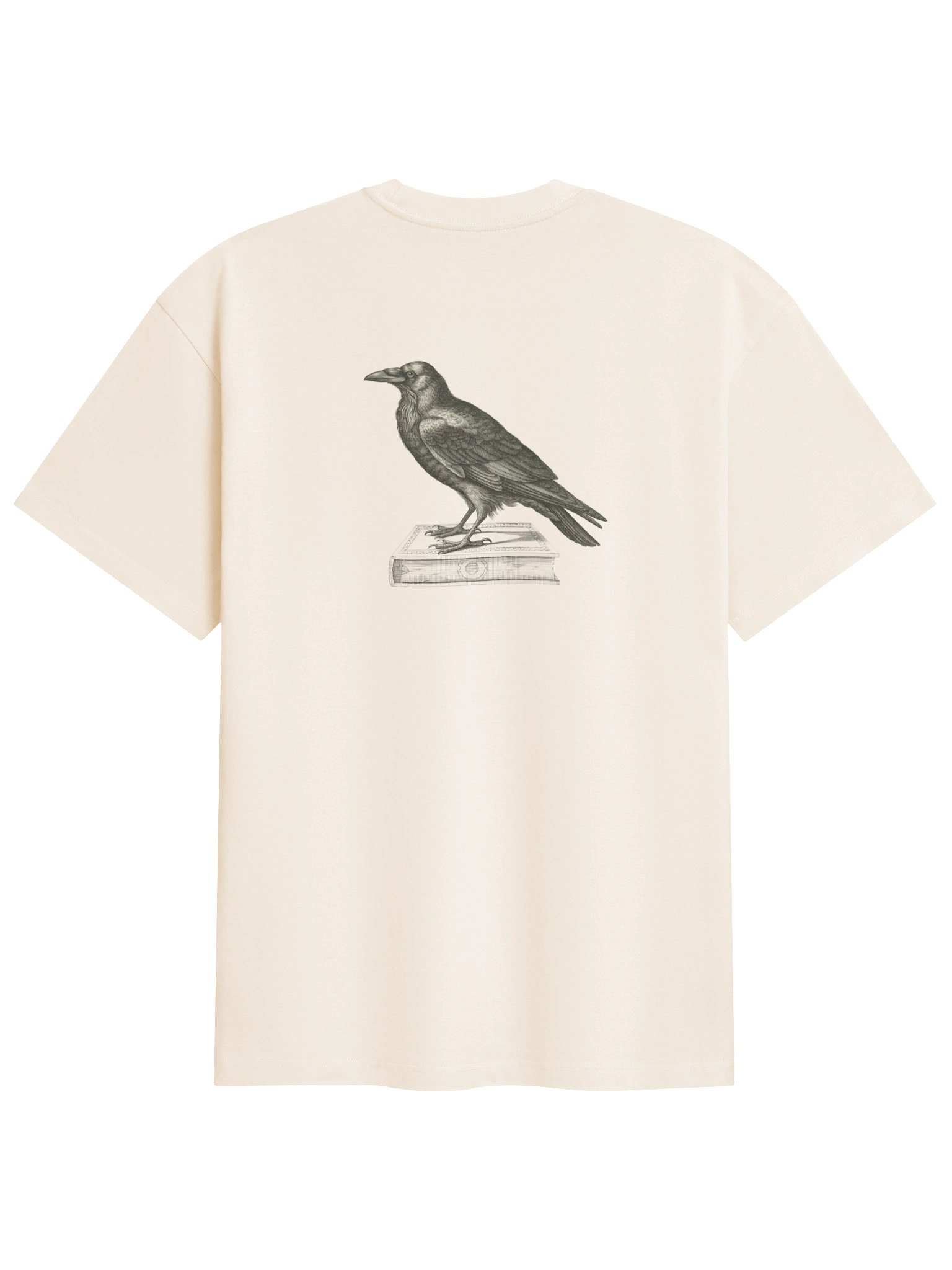 Ash Raven Heavyweight Box Tee product image (13)