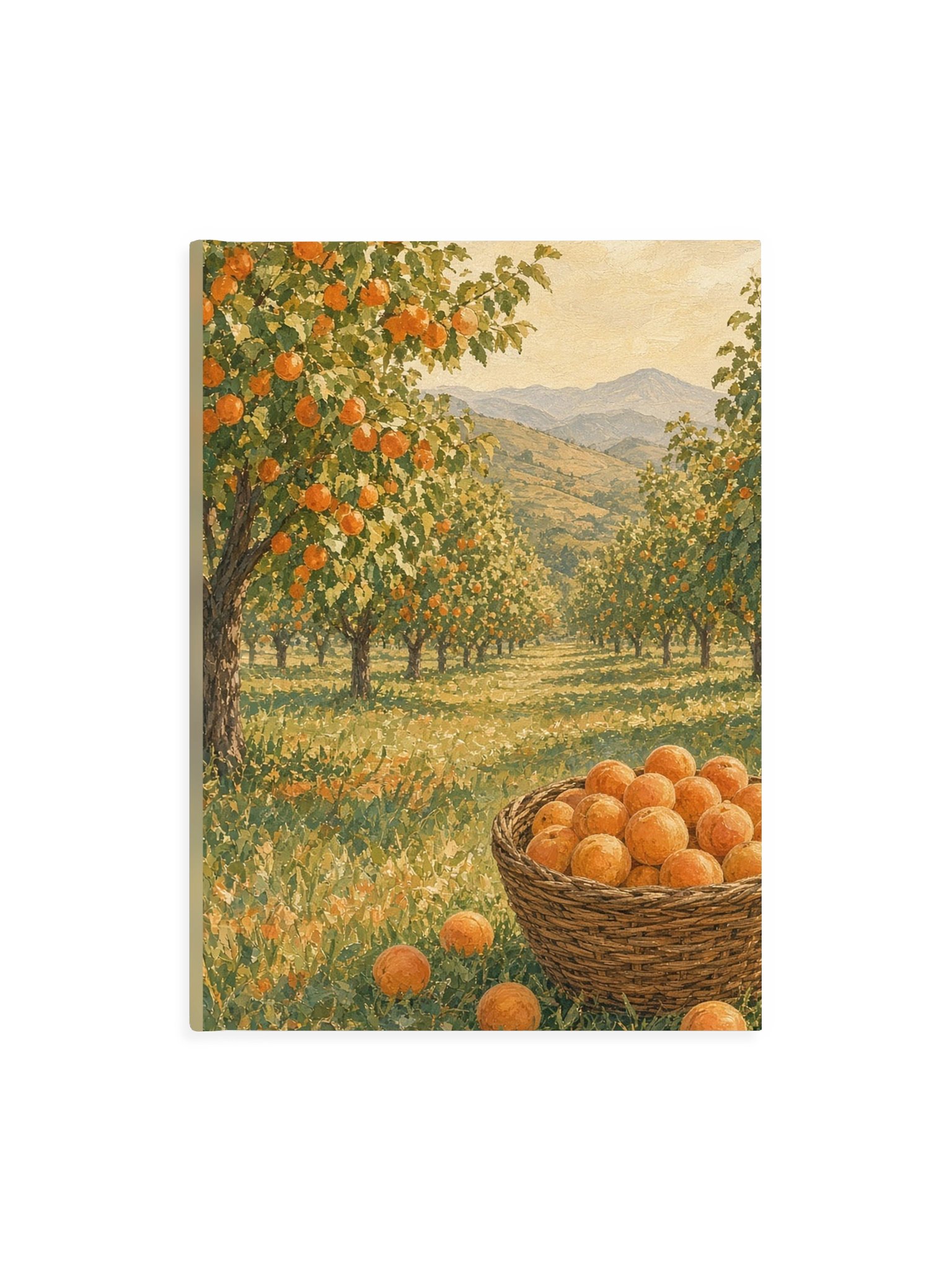 Apricot Orchard Drawing Book product image (1)