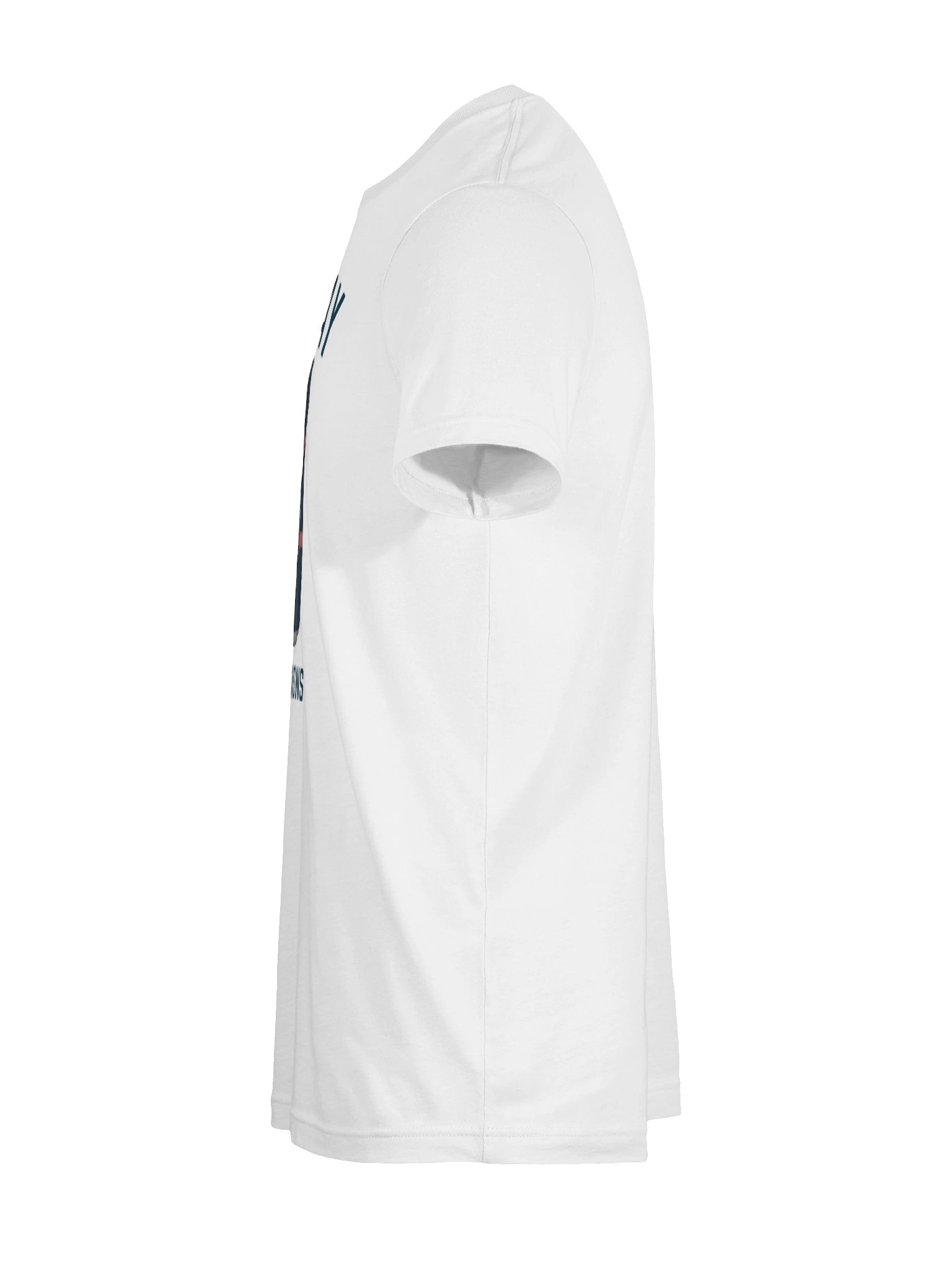 HOU - Sunday Concessions Can Tee product image (11)