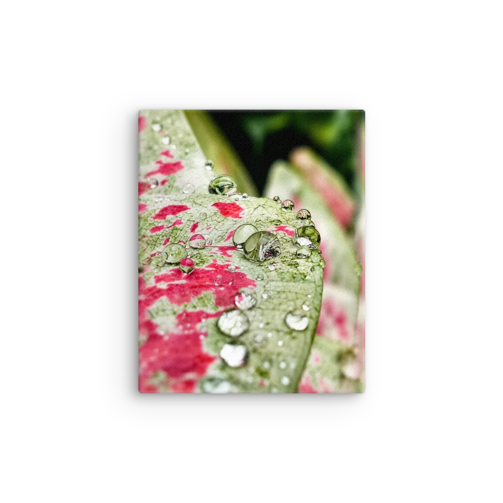 Rain-Kissed Pink Leaf Canvas product image (12)