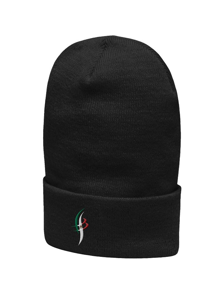 BEAM MEXICAN FLAG BEANIE product image (10)