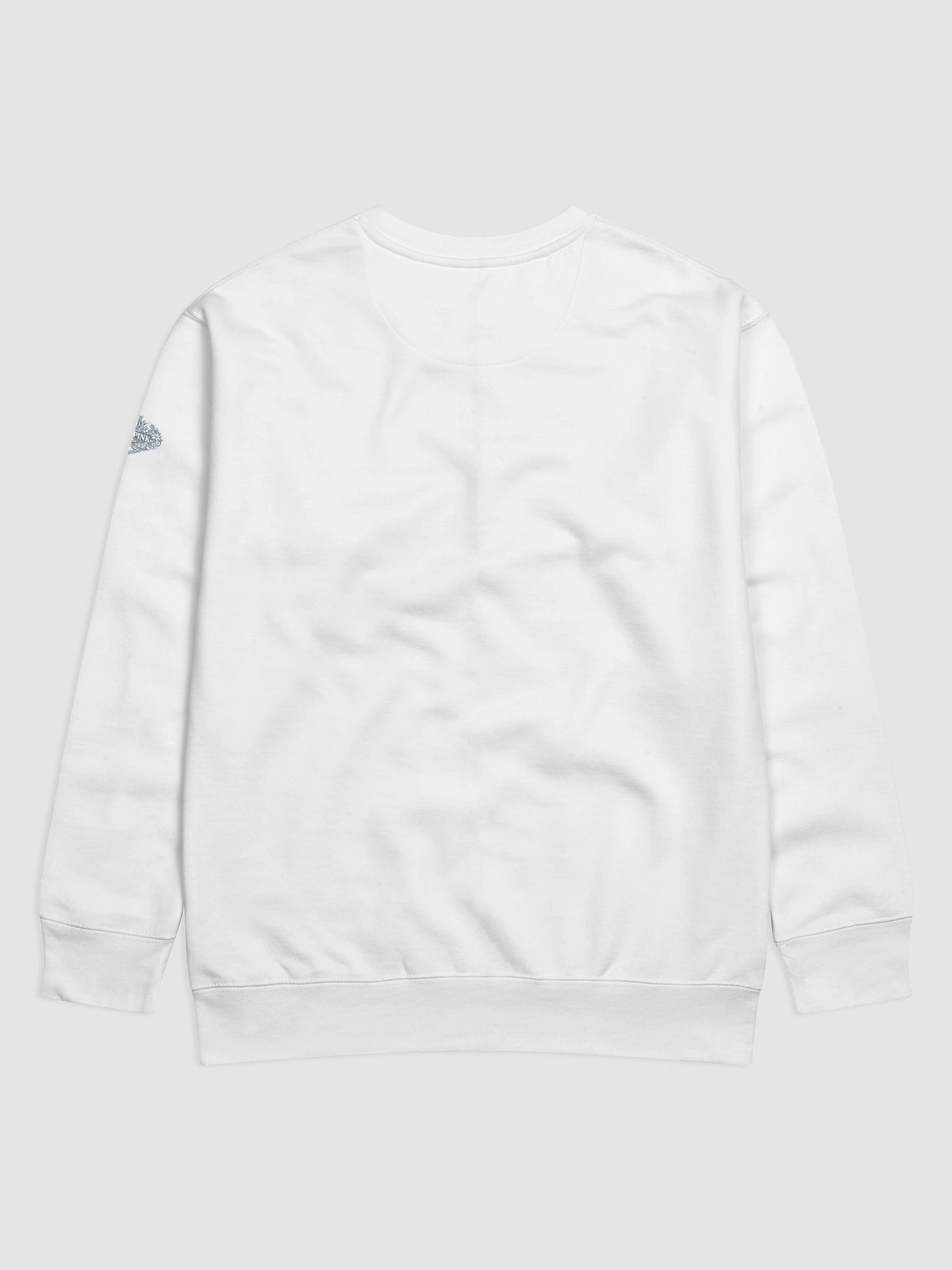 Intense Cotton Sweatshirt With Centered Tech product image (60)