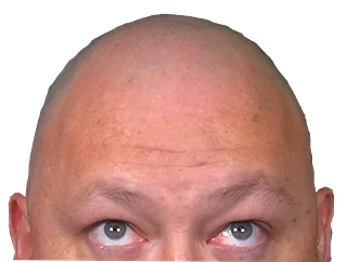 TurtlesAndGaming