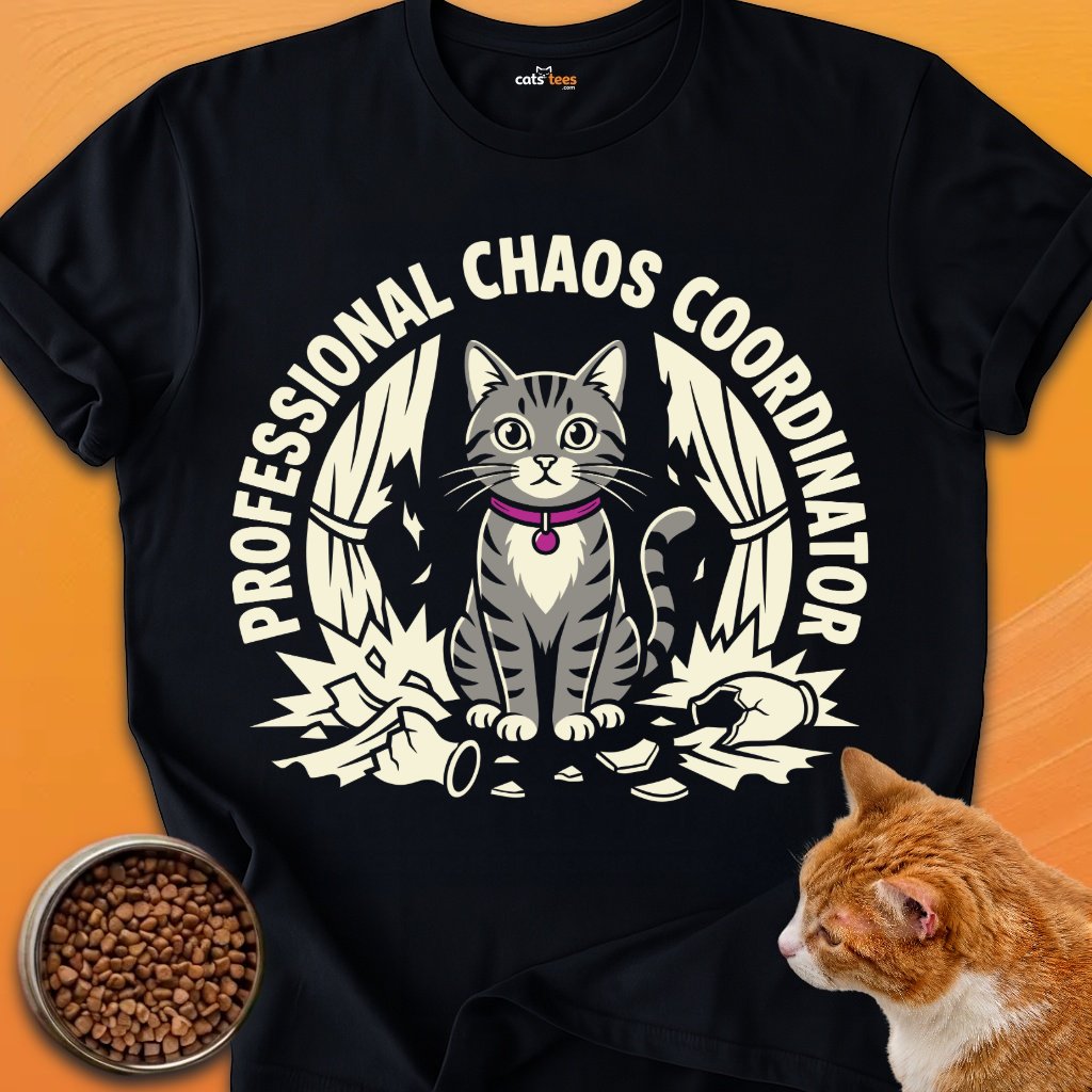 Professional Chaos Coordinator product image (1)