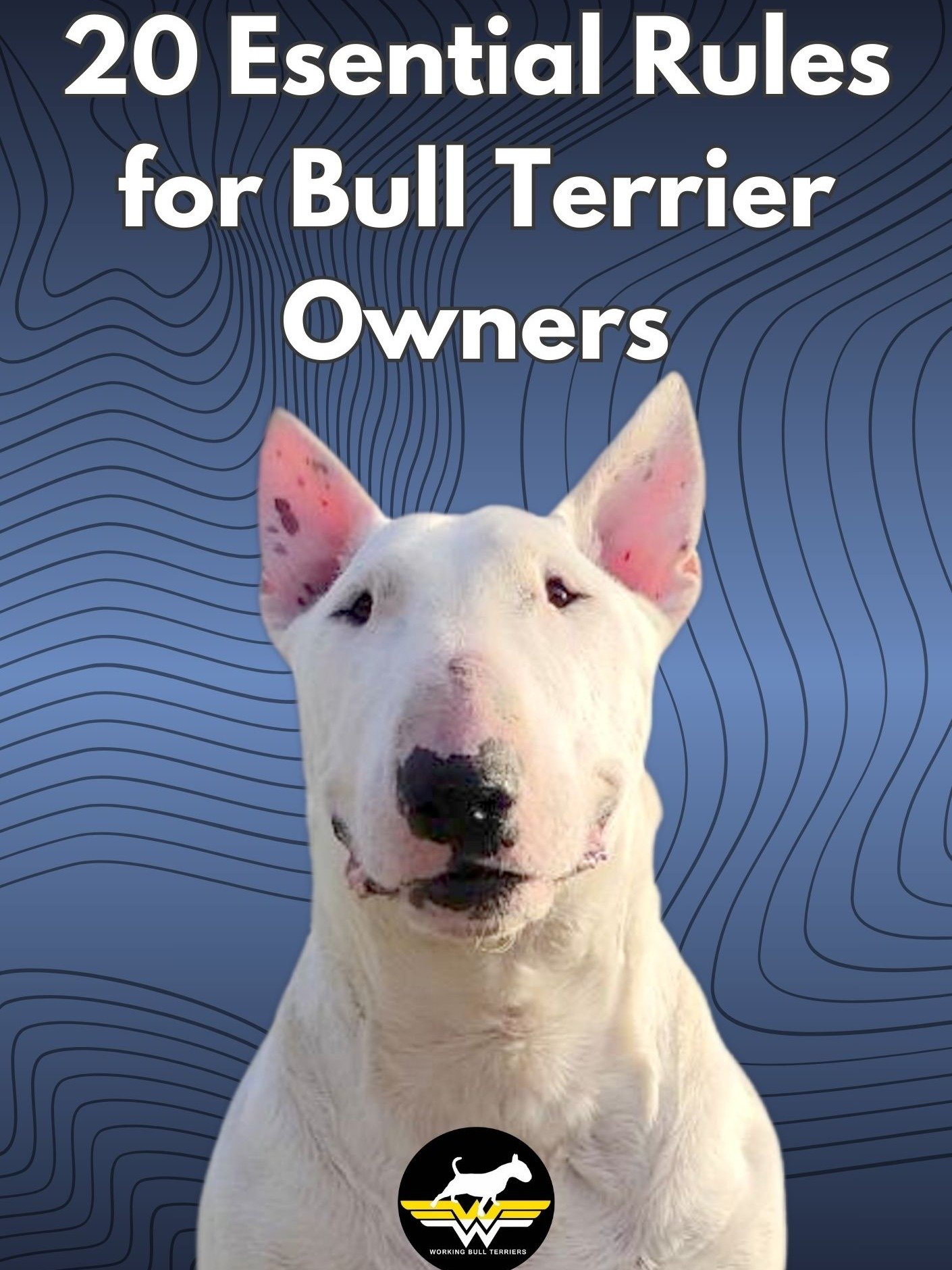The Ultimate Bull Terrier Library Bundle (E-Books) product image (5)