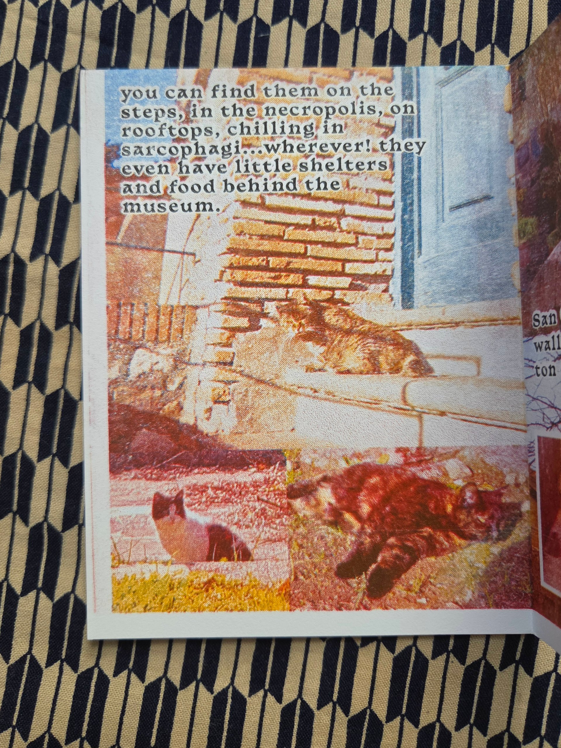 Gatti Zine product image (2)