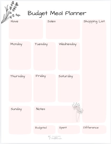 Budget Meal Plan product image (2)