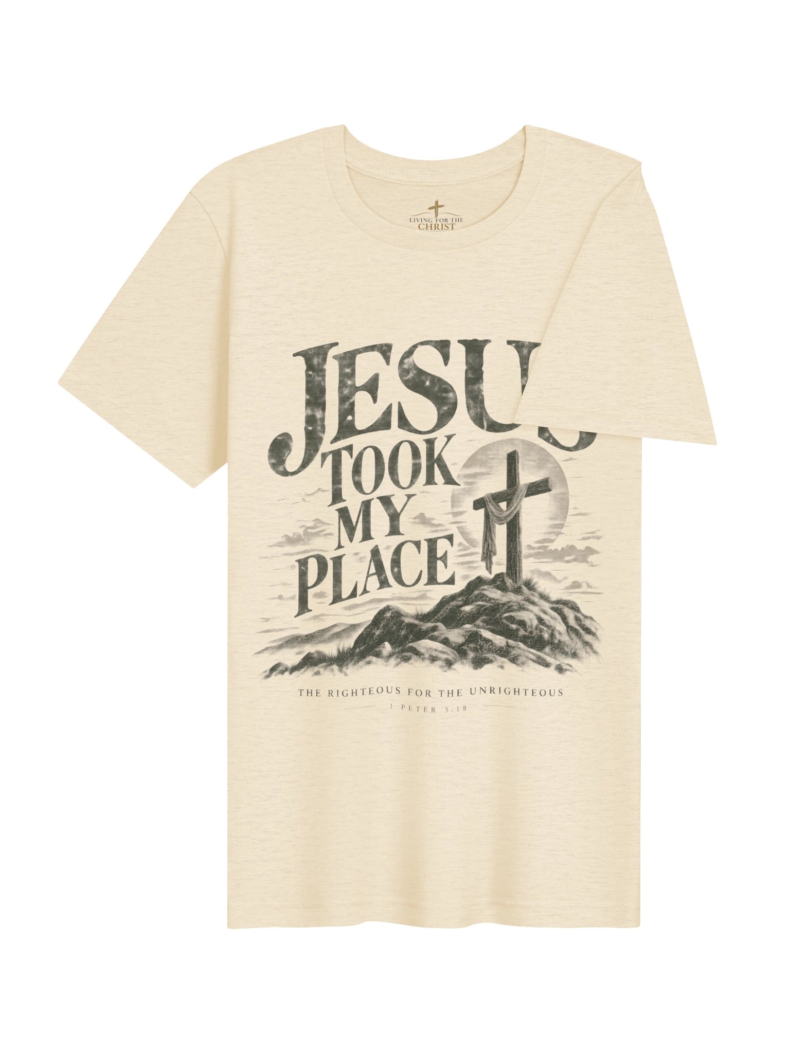 Jesus Took My Place Unisex Premium T-Shirt – 1 Peter 3:18 Christian Tee product image (121)