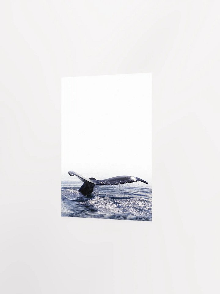 Whale Tail Dive Poster product image (20)