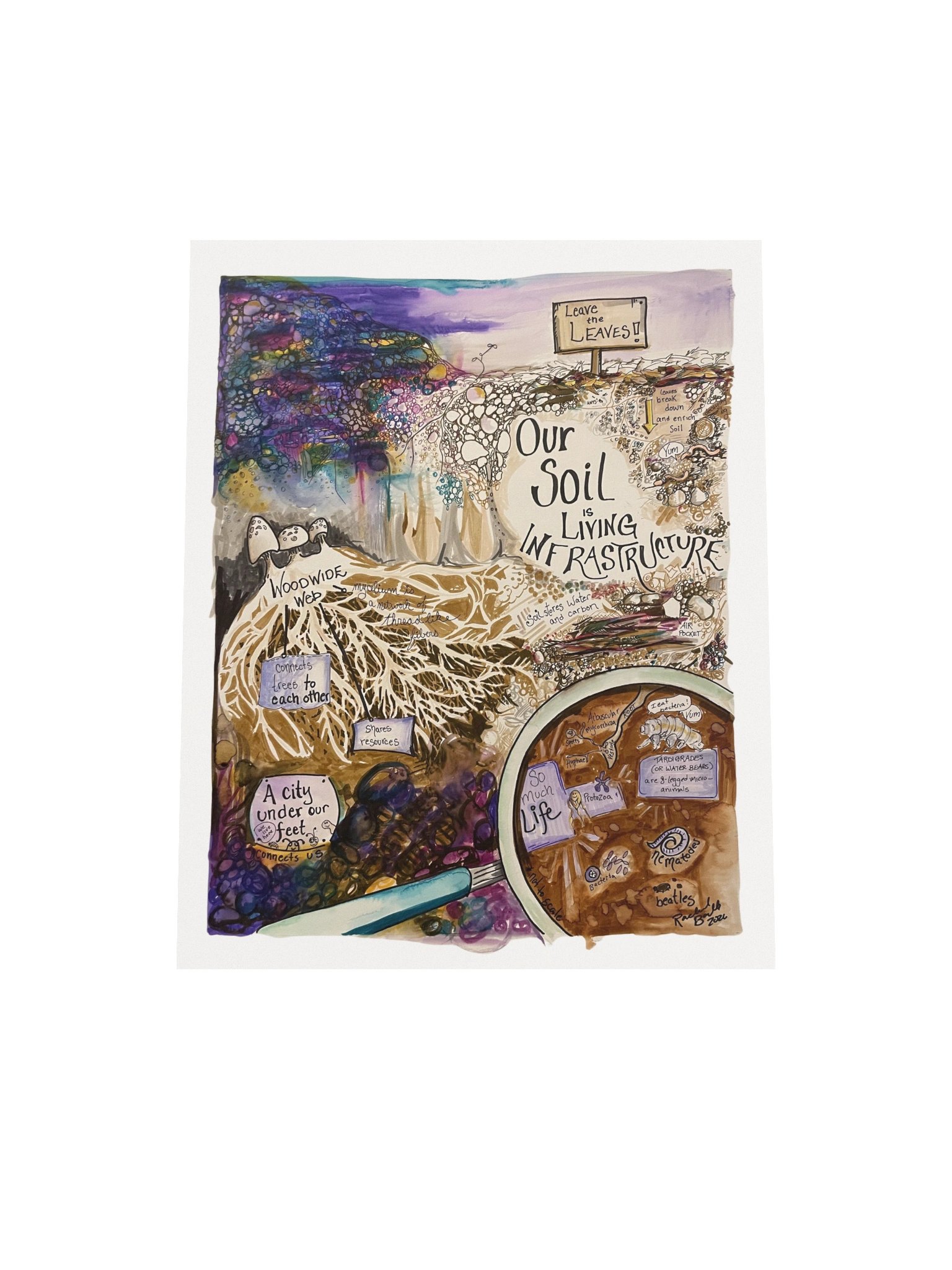 "Soil is Living Infrastructure" (Poster) product image (4)